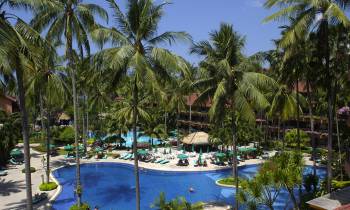 a pool next to a palm tree