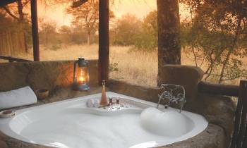 Thornybush Private Game Reserve