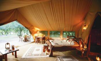 Tent Bedroom