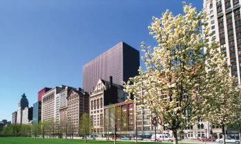 Mill Park Chicago