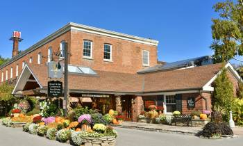 a close up of a flower garden in front of a brick building