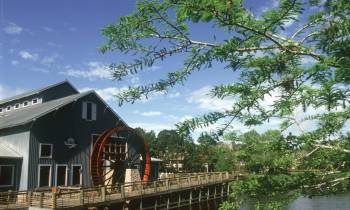 Disney's Port Orleans Resort Riverside