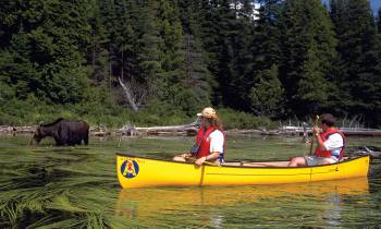 a group of people riding on the back of a boat