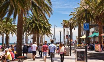 a group of people walking down a street next to a palm tree