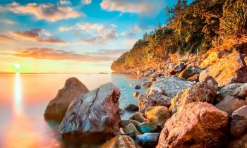 Sunshine at Coromandel Cliffs