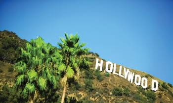 a sign in front of a tree with Hollywood Sign in the background
