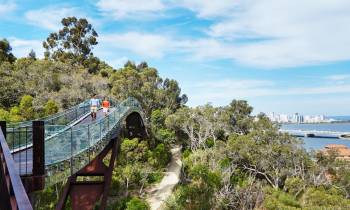 a bridge over a river