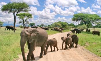 Tanzania