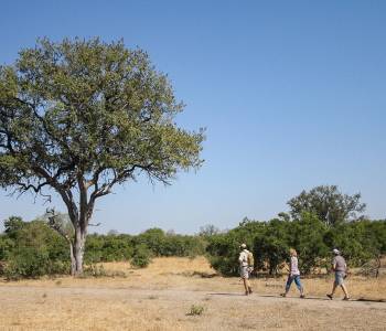 Oliver’s Restaurant & Lodge