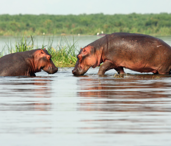 Seychellen Reisetipps