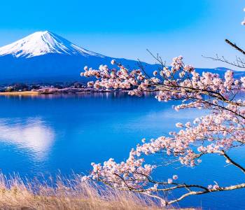 Enchanting Travels Japan Tours Landscape from Lake Kawaguchiko Nagasaki Park