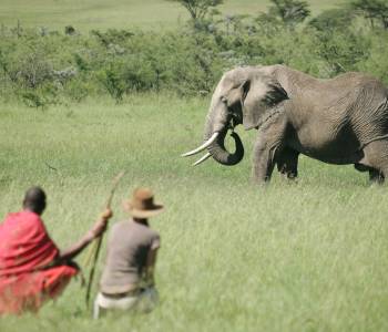 Kenya Tours