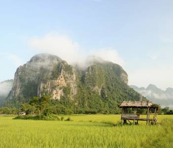 Rice fields, Phonsavan, Laos, Asia