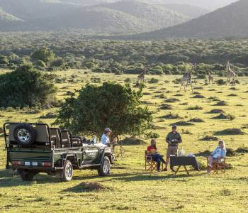 South Africa Holidays