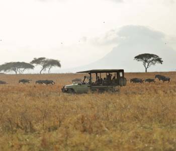 Tanzania - Tarangire