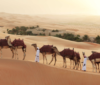 Best Things To Do in Dubai