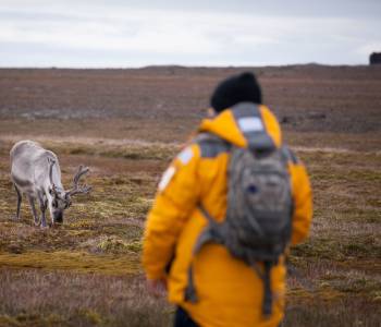 Gems of West Greenland: Fjords, Icebergs and Culture