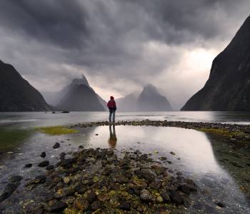 Risk taker Milford sound