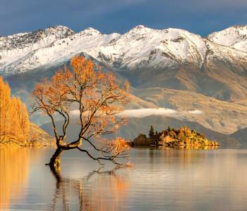 Neuseeland-Roadtrip: von der Süd- zur Nordinsel