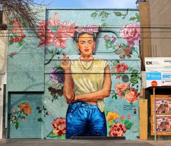 Abenteuer im Südlichen Ozean: Falkland Inseln & Antarktis