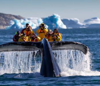 Abenteuer Südgrönland: Die alpine Arktis