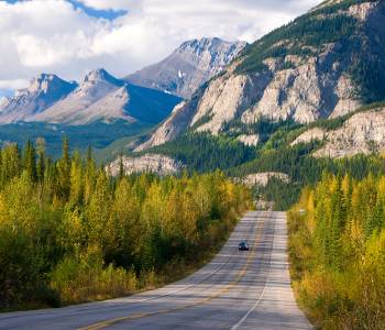 Scenic road through Jasper National Park, Canada