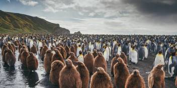 Antarctica