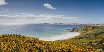 The Falkland Islands (Islas Malvinas)