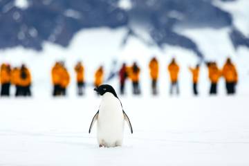 Photo: David Merron