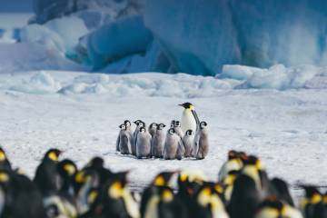 Antarctica