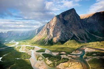 Arctic