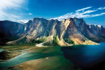 Arctic