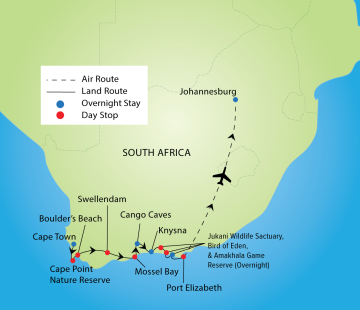 Into The Wild: South African Safari Adventure