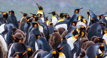 Antarktis-Reise: 8 Gründe für eine Expedition ans Ende der Welt