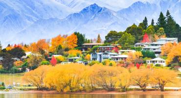 A beautiful scenery of wanaka tree, New Zealand in cloudy in autumn