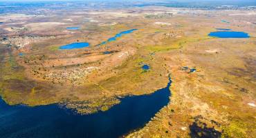 Aerial view of the Okavango delta