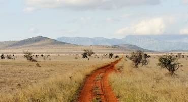 Savannah landscape in the National park in Kenya, Africa