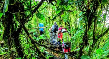 Hiking in Arenal National Park