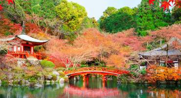 Japan Travel Guide