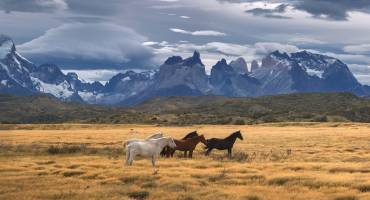 Enchanting Travels Torres del Paine National Park, Patagonia, Chile