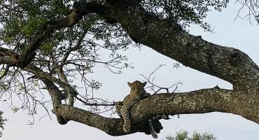 South Africa