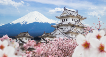 Travel Blog