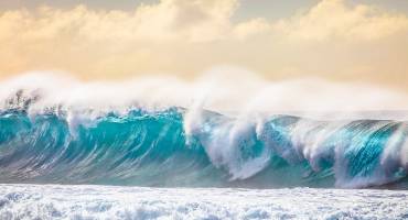 Hawaii Tour - Surf