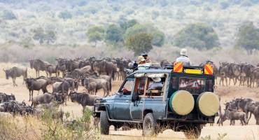 How to Choose the Right Safari Destination