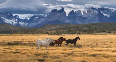 Torres del Paine National Park, Patagonia, Chile