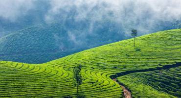 Responsible Travel: Creating Community Connections