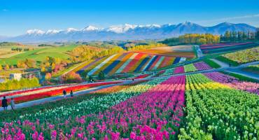 Asia Tours
