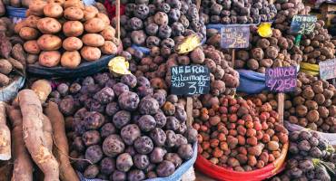 Auf den Geschmack gekommen: Kulinarische Erlebnisse in Lateinamerika