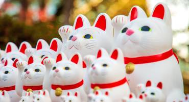 5 unvergessliche Erlebnisse in Tokio und Kyoto