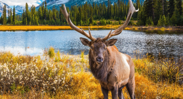 Exploring Indigenous Culture in Canada